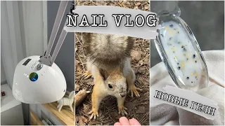 Nail Vlog🐿️/Апгрейд лампы для педикюра🛠️/Новые гели😍