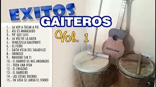 EXITOS GAITEROS VOL1