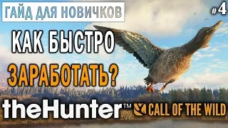 theHunter Call of the Wild #4 🔫 - Как Быстро Заработать и Прокачаться? - ГАЙД