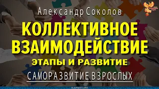 Коллективное взаимодействие. Этапы и развитие. Александр Соколов