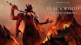 The Elder Scrolls Online: Blackwood — официальный трейлер игрового процесса