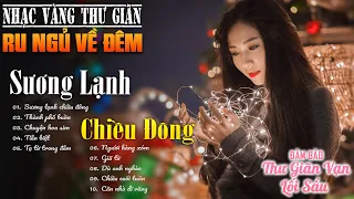 29-10 SƯƠNG LẠNH CHIỀU ĐÔNG - Nhạc Vàng Xưa Tuyển Chọn THƯ GIÃN Ru Ngủ Về Đêm✨ĐẢM BẢO THƯ GIÃN 1000%