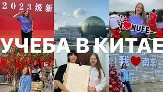 [vlog] учеба в китае 🇨🇳