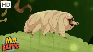 The Indestructible Tardigrade | Surving in the Harshest Environments | Wild Kratts