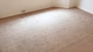 Real Dirt Challenge: More filthy carpets at an end of tenancy job