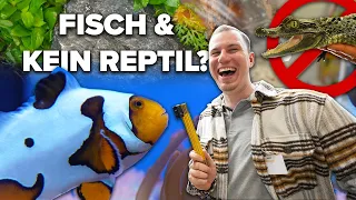 Was war da los?! - Tobi auf der FISCH & REPTIL... ohne Reptilien