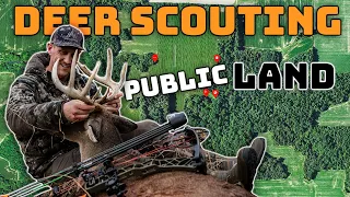 Deer Scouting 101 - EVERYTHING YOU NEED TO KNOW!!!