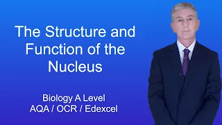A Level Biology Revision "The Structure and Function of the Nucleus"