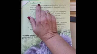 Prickly Adventure read aloud