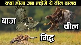 चील vs बाज़ vs गिद्ध की लड़ाई में कौन जीतेगा ! Eagle vs vulture vs hawk !  कौन है सबसे खतरनाक