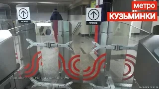 метро Кузьминки // 30 октября 2018