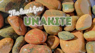 Hunting for Unakite and Lake Superior Agates at Whitefish Point - Upper Peninsula Michigan