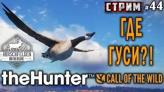 theHunter Call of the Wild #44 СТРИМ 🔫 - Где Гуси??? - Ружье - Казарка