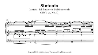 Organ: Sinfonia from Cantata: Ich hatte viel Bekümmernis (BWV 21, No. 1) - J.S. Bach