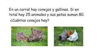 Sistemas de ecuaciones (conejos y gallinas)