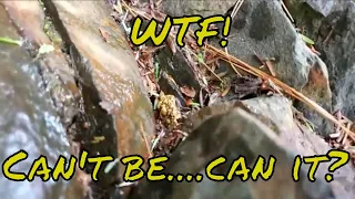 Gold digging in NH. Panning on the wild ammonoosuc. Big nugget found