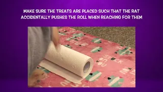 How to Train a Rat to Roll/Unroll a Carpet