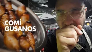 IQUITOS, recorriendo un mercado amazónico 🐛 | Mercado de Belén, Perú