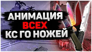 ЦЕНЫ НОЖЕЙ КС ГО! ВСЕ НОЖИ КС ГО! АНИМАЦИЯ НОЖЕЙ КС ГО!