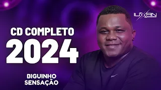 BIGUINHO SENSAÇÃO 2024 CD NOVO - BIGUINHO SENSAÇÃO 2024 CD COMPLETO - BIGUINHO SENSAÇAO FICA COMIGO