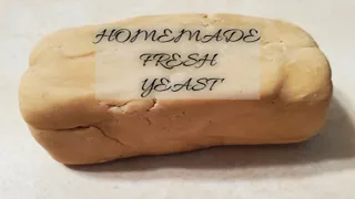 homemade fresh yeast- from dry yeast- Never buy yeast again
