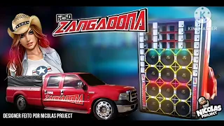 CD F250 ZANGADONA - DJ RENEGADU - GYN AUTO SOM - DANCE COMERCIAL - TRACK PROJECT