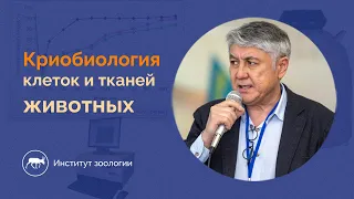 Семинар - "Криобиология клеток и тканей животных".