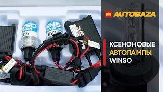 Ксенон для авто. Комплект ксенона Winso H7. Как улучшить свет в авто? Автооптика.