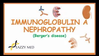 Immuniglobulin A Nephropathy (Berger's disease) causes,pathophysiology,dx and treatment