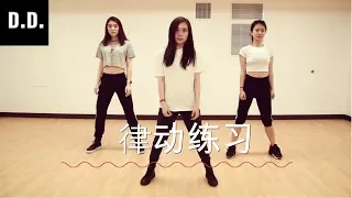 律动基础练习|Groove Practice【D.D.】