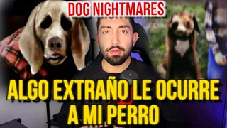 ALGO EXTRAÑO LE OCURRE A MI PERRO (oculta algo) DOG NIGHTMARES