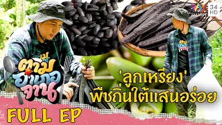 ตามหา 'ลูกเหรียง' พืชถิ่นใต้แสนอร่อย จ.สงขลา | ตามอำเภอจาน | 13 พ.ค.66 Full EP