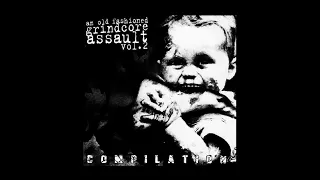 VA / « An old fashioned Grindcore assault vol. 2 » compilation (2005)