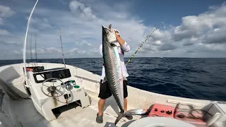 Commercial King Fishing South Florida