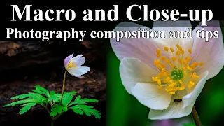 HOW TO USE Macro & Telephoto lenses for Close-up Photography