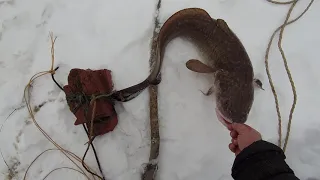 р. Обь . Проверка  перемёта .