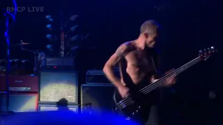 Red Hot Chili Peppers - Dani California - Edmonton 11/22/2012 (SBD audio)