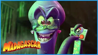 DreamWorks Madagascar | Dave Made a Monster | Penguins of Madagascar Clip