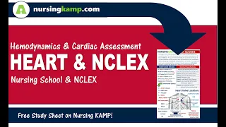 What is Cardiac Assessment NCLEX Review Heart Anatomy and Nursing KAMP 2019