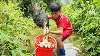 The story is about a wandering boy named Bac and his journey to catch a school of stream fish.