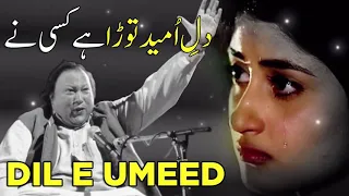 DiL e Umeed Taora Ha Kisi Ny DiL e Umeed Tora Hai Kisi Ne Heart Touching Song #Trending