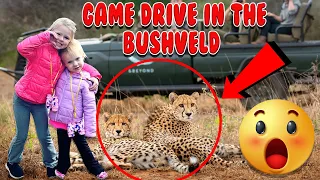 Game Drive In The Bushveld. South Africa.