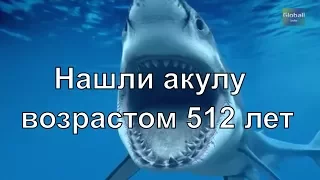 Ученые нашли самое старое из всех ныне живущих позвоночных