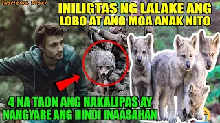 Iniligtas ng Lalake ang Lobo at mga anak nito 4 na taon ang nakalipas nangyare ang hindi inaasahan