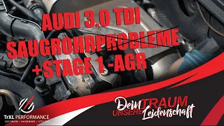Vom Leistungsverlust zum Power-Diesel: Saugrohrklappen- und AGR-Probleme Audi A4 B7 3.0TDI 204PS