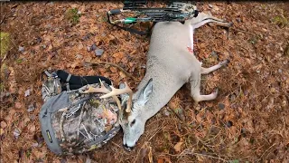 Barnett Raptor Pro Crossbow Buck Hunt Public Land NY