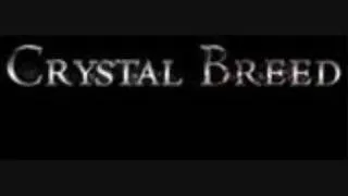 Crystal Breed - Worshiper