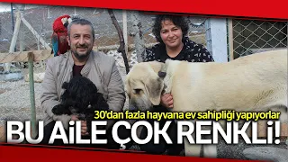 Bu Aile Çok Renkli: 30'dan Fazla Hayvana Ev Sahipliği Yapıyorlar