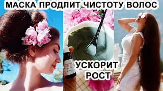 МАСКА ДЛЯ ВОЛОС, КОТОРАЯ ПРОДЛИТ ЧИСТОТУ И УСКОРИТ РОСТ. СРЕДСТВО ДЛЯ РОСТА ВОЛОС и ДЛЯ ЖИРНЫХ ВОЛОС