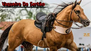 Lamento de um cavalo - Tarcisio Do acordeon - [Vaqueiro Do Sertão]